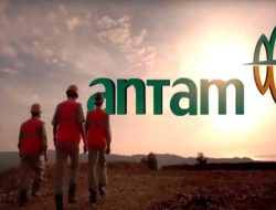 Tiga Anak Perusahaan Antam Diduga Abaikan Aspek Lingkungan dan Kepentingan Warga Haltim