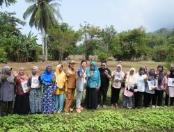 Kolaborasi Wujudkan Ketenagakerjaan dan Ketahanan Pangan Berbasis Perempuan di Ternate